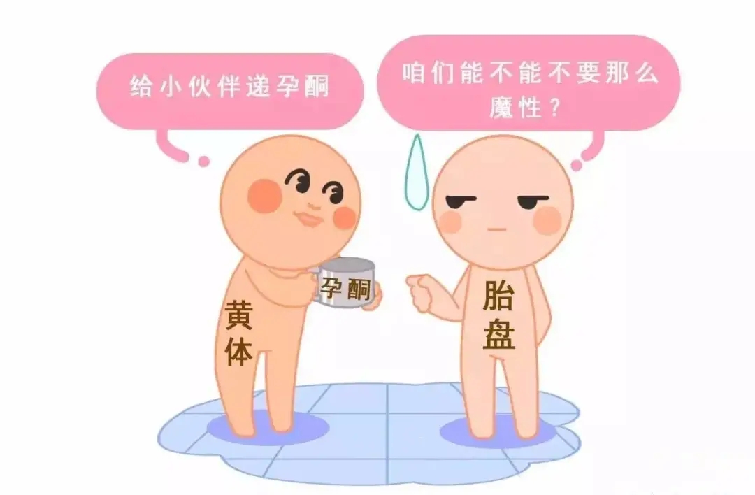 HCG和孕酮低一定會(huì)流產(chǎn)？備孕女性必須知道的孕早期“秘密”