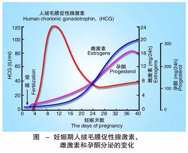 懷孕期間HCG低怎么辦？